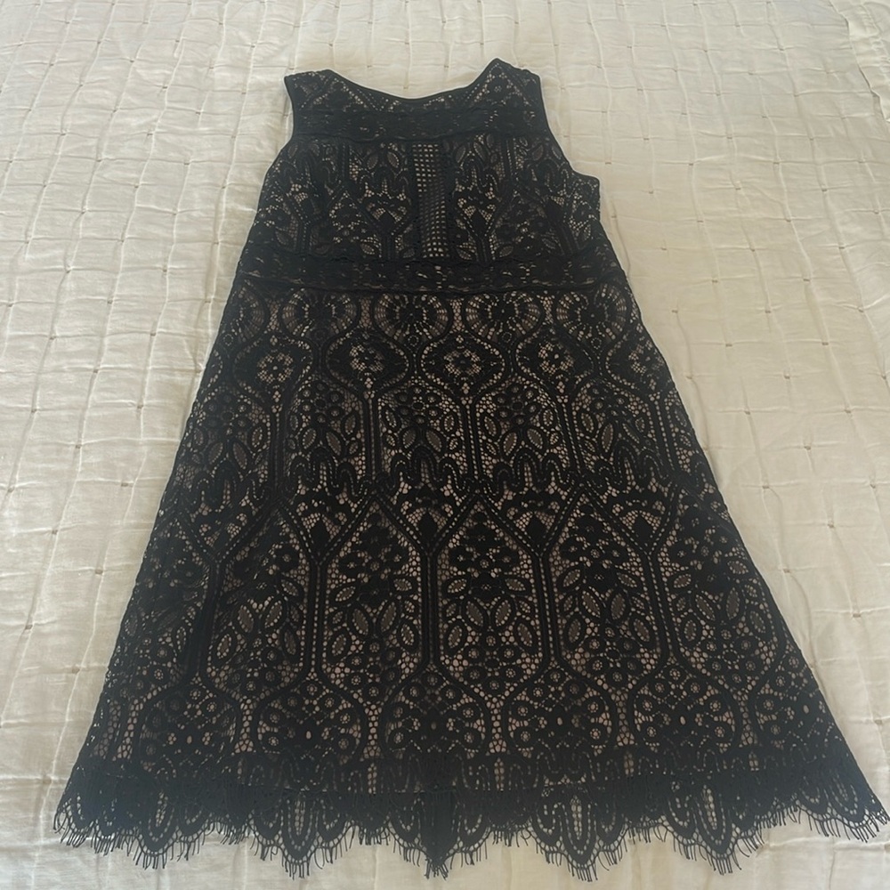 LOFT Black Lace Cocktail Dress